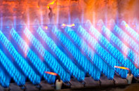 Lanton gas fired boilers
